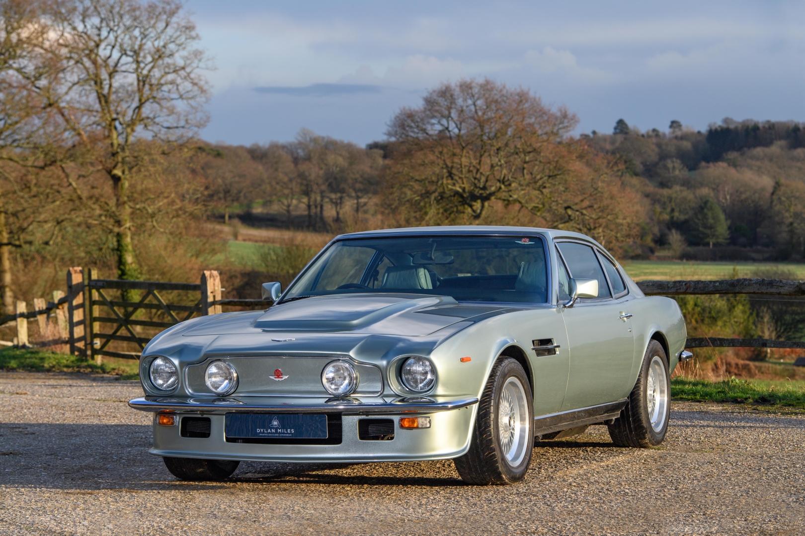 Vintage Luxury: 1979 Aston Martin V8 Vantage